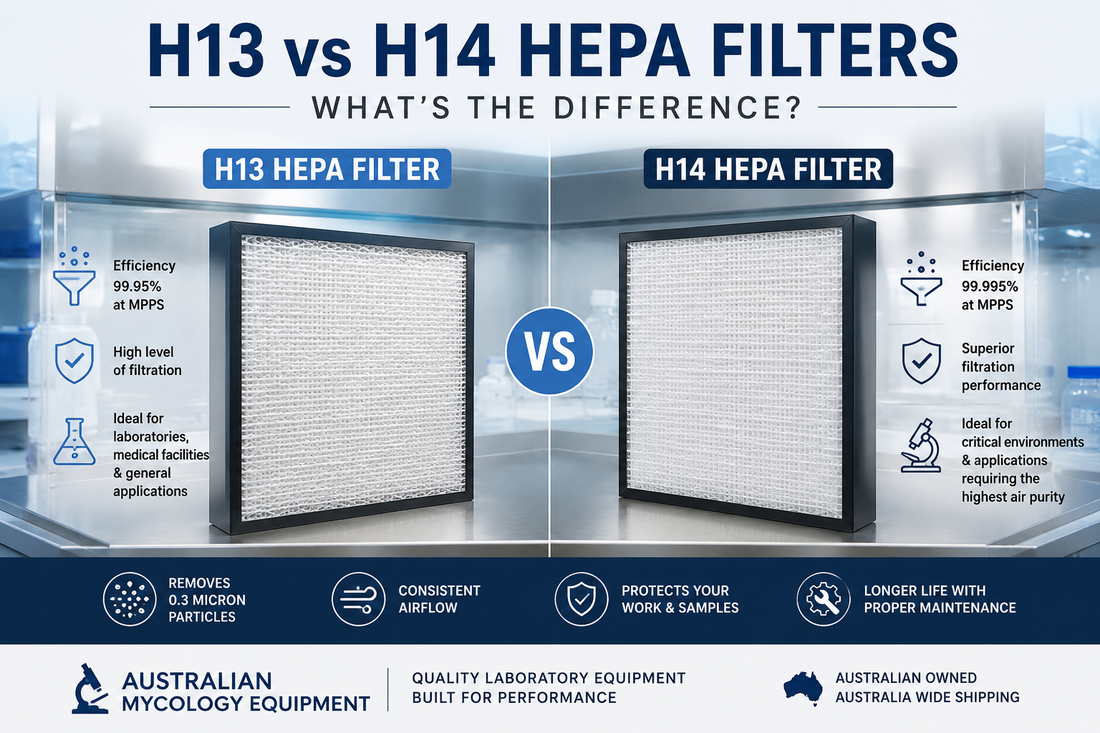 H13 vs H14 HEPA Filters: What's the Difference?
