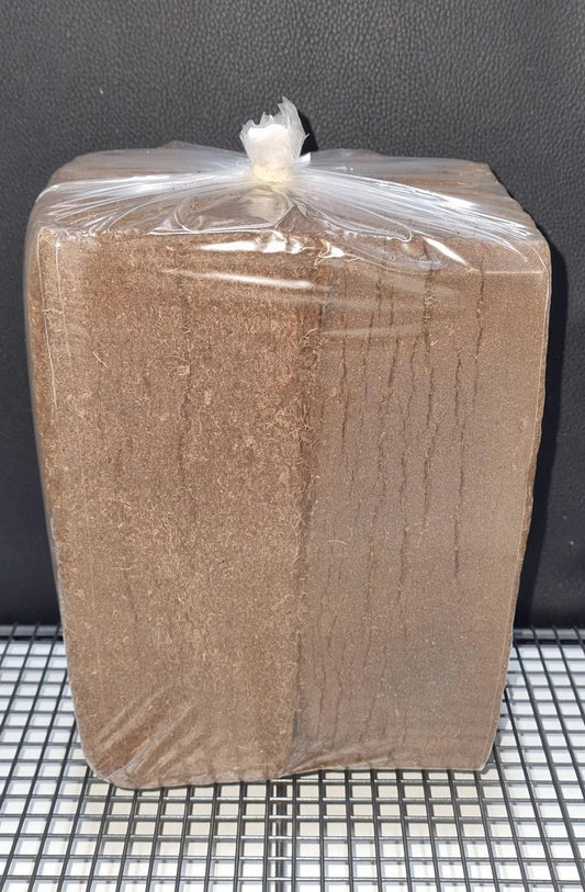 2X 650g Sterile Coir Block FREE SHIPPING Custom Made 5-8 Days
