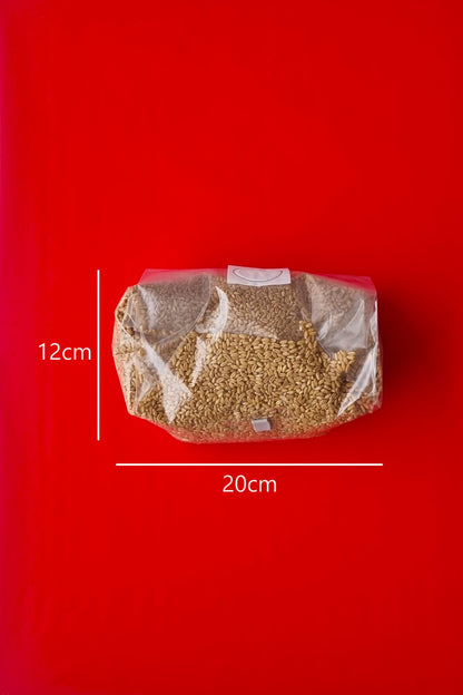 Large Grain Bags 20x12x45cm .20 Filter with Injection Port