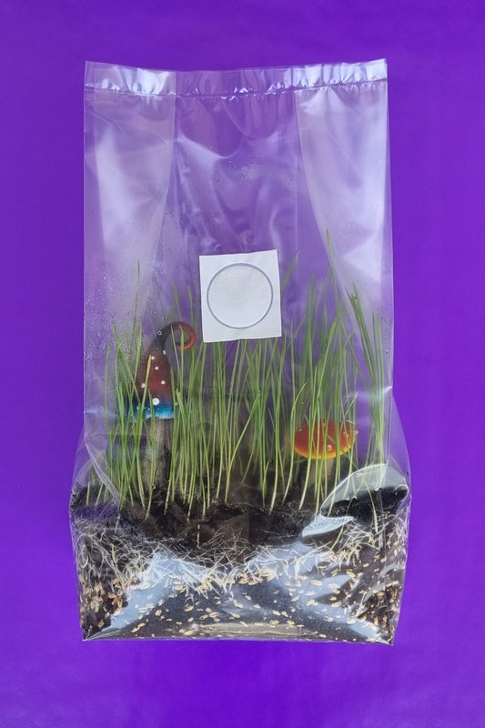 Large FRUITING Bags 20x12x45cm .50UM Large Filter Fruiting Bag